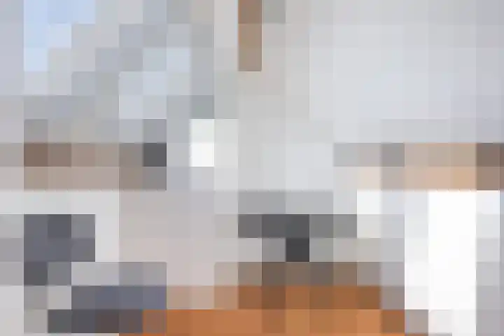 Violenstraat 36 Dordrecht thumbnail 31