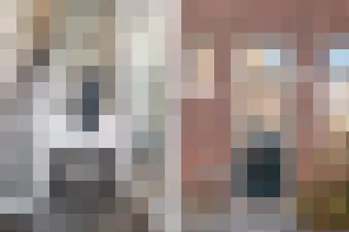 Violenstraat 36 Dordrecht thumbnail 4