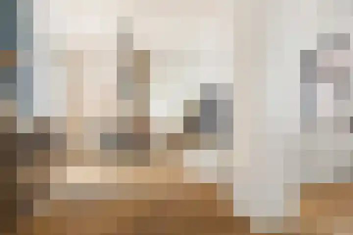 Violenstraat 38 Groningen thumbnail 11