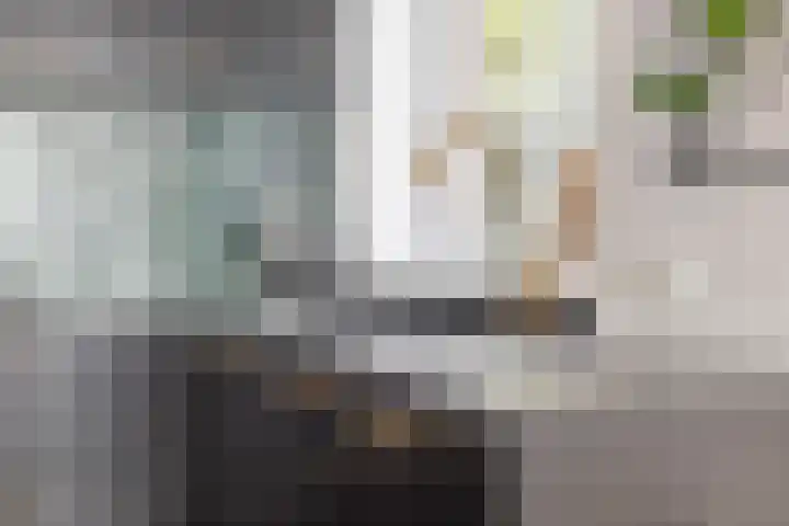 Violenstraat 38 Groningen thumbnail 17