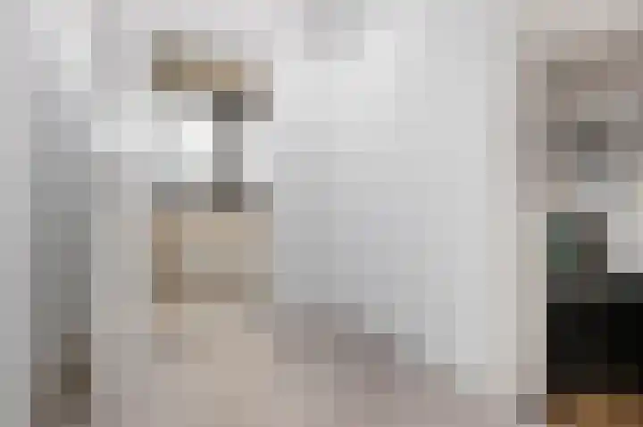 Violenstraat 38 Groningen thumbnail 18