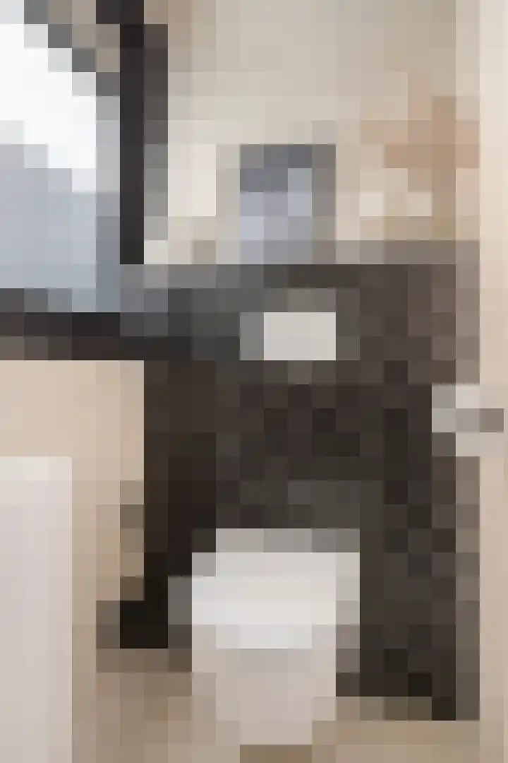 Violenstraat 38 Groningen thumbnail 21