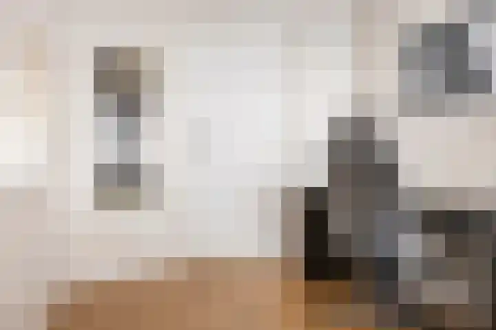 Violenstraat 38 Groningen thumbnail 28