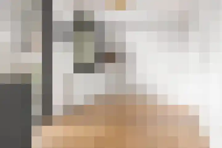 Violenstraat 38 Groningen thumbnail 29