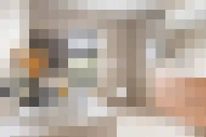 Violenstraat 38 Groningen thumbnail 33