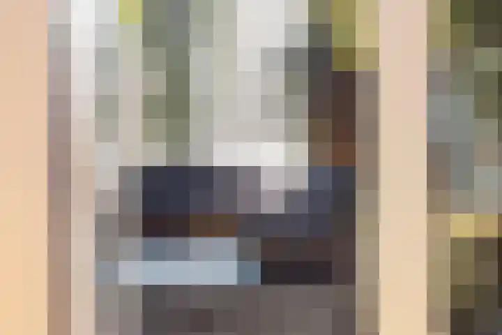 Violenstraat 38 Groningen thumbnail 35