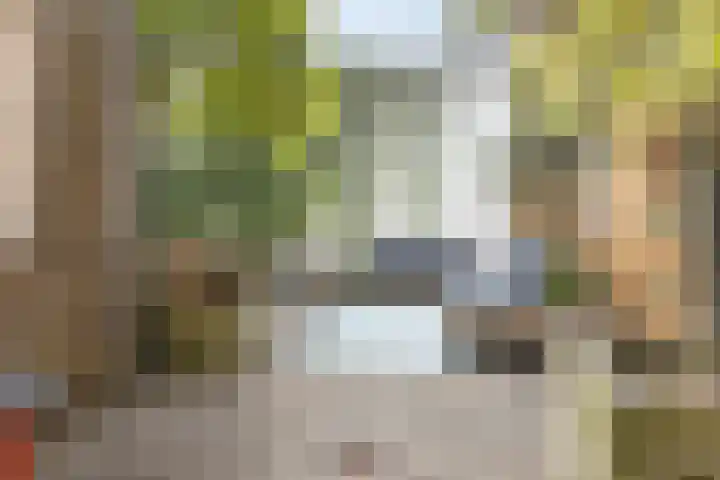 Violenstraat 38 Groningen thumbnail 36