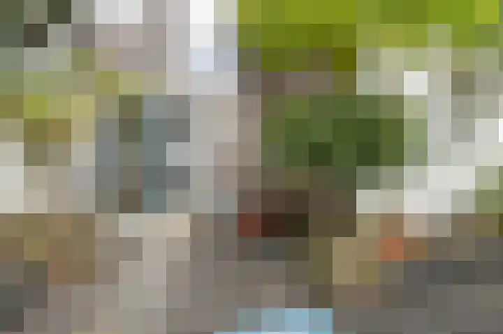 Violenstraat 38 Groningen thumbnail 38