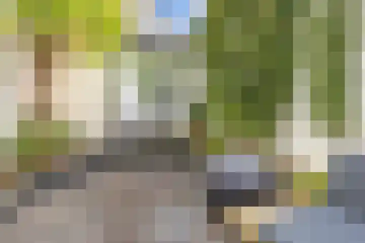 Violenstraat 38 Groningen thumbnail 39