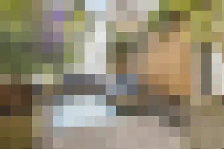 Violenstraat 38 Groningen thumbnail 4