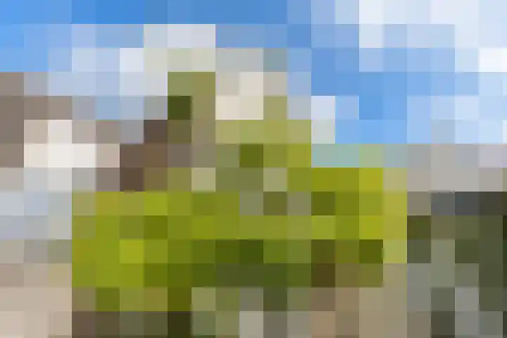 Violenstraat 38 Groningen thumbnail 40