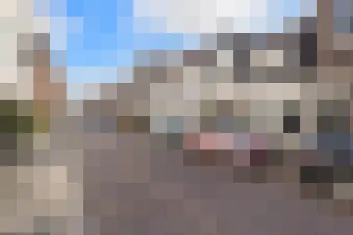 Violenstraat 38 Groningen thumbnail 41