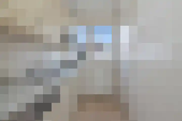 Violenstraat 4 Noord-Scharwoude thumbnail 15