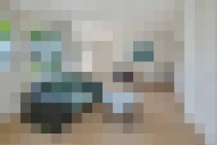 Violenstraat 4 Noord-Scharwoude thumbnail 7