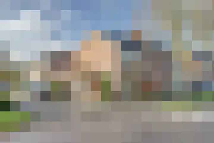 Violenstraat 40 Enkhuizen thumbnail 30