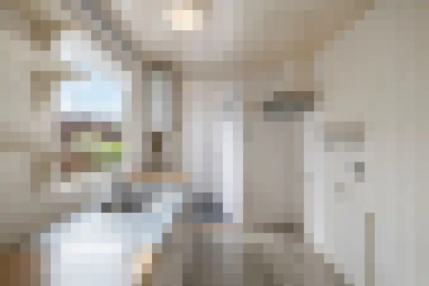 Violenstraat 44 Den Helder thumbnail 15