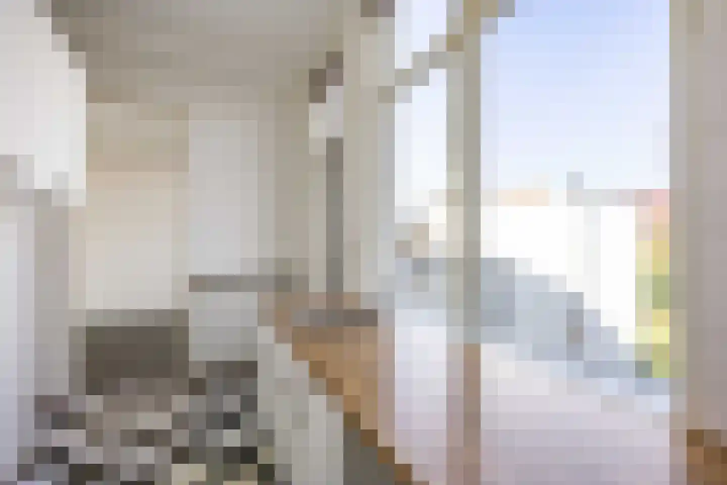 Violenstraat 45 a Groningen thumbnail 21