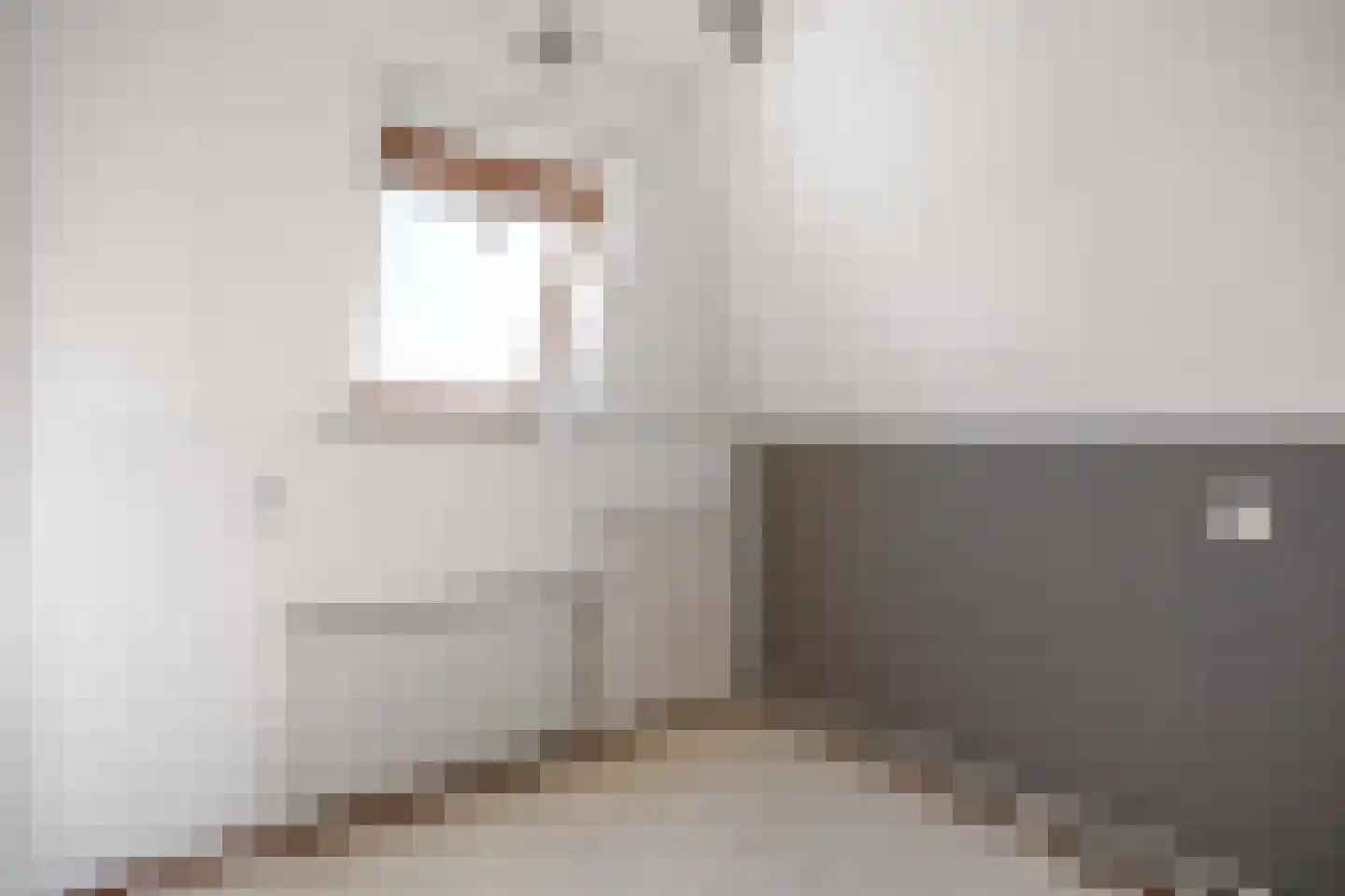 Violenstraat 45 a Groningen thumbnail 34