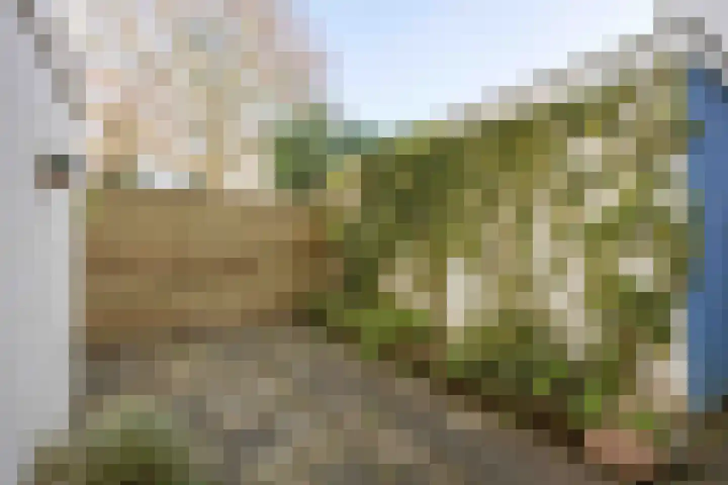 Violenstraat 45 Groningen thumbnail 26