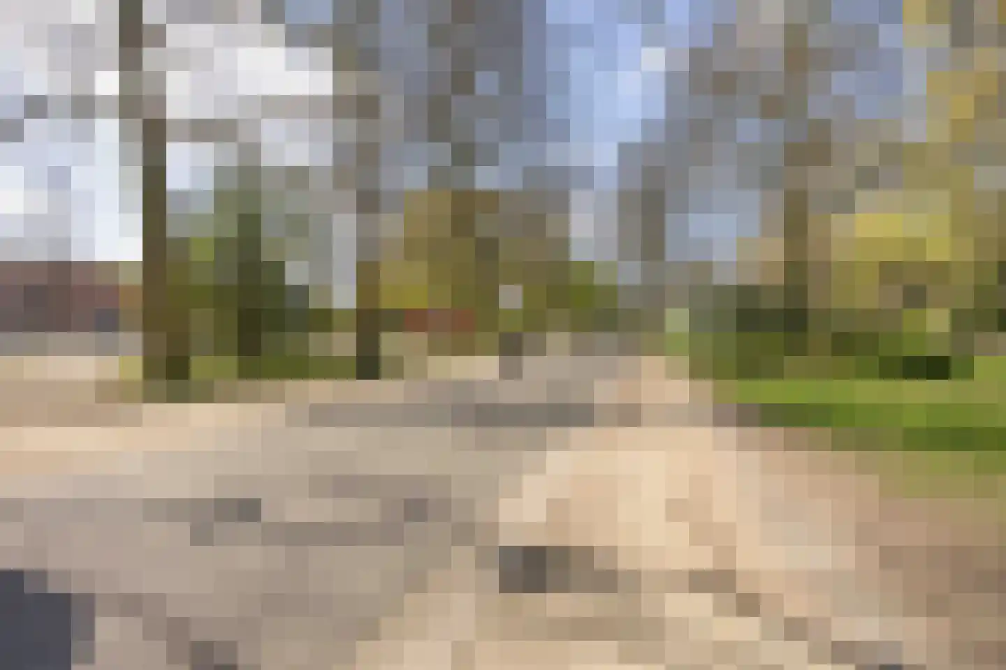 Violenstraat 45 Groningen thumbnail 38