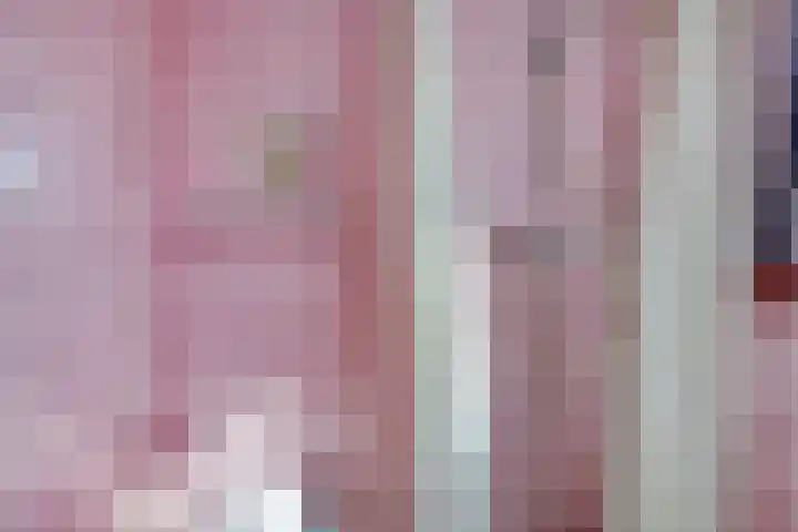 Violenstraat 48 Goes thumbnail 21