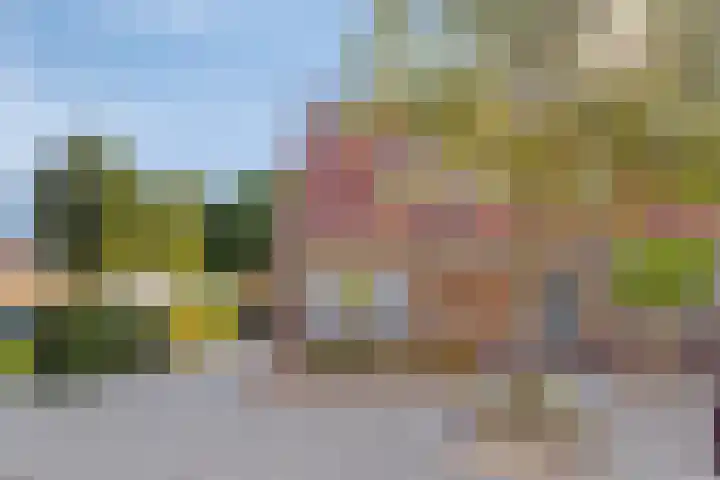 Violenstraat 48 Goes thumbnail 25