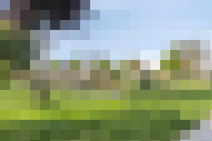Violenstraat 48 Goes thumbnail 28