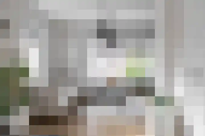 Violenstraat 49 a Groningen thumbnail 13
