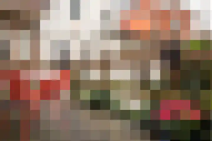 Violenstraat 49 Groningen thumbnail 10