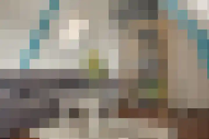 Violenstraat 49 Groningen thumbnail 17