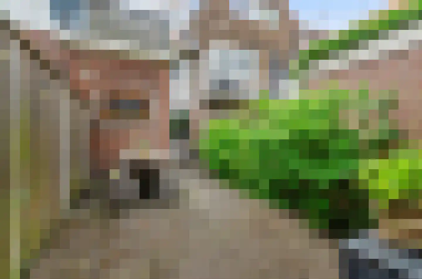 Violenstraat 49 Utrecht thumbnail 13
