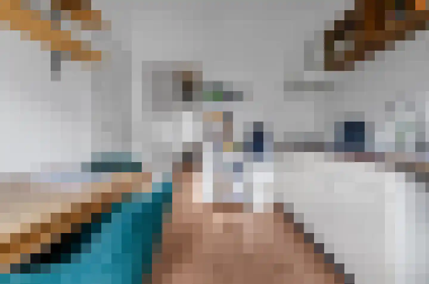 Violenstraat 49 Utrecht thumbnail 24