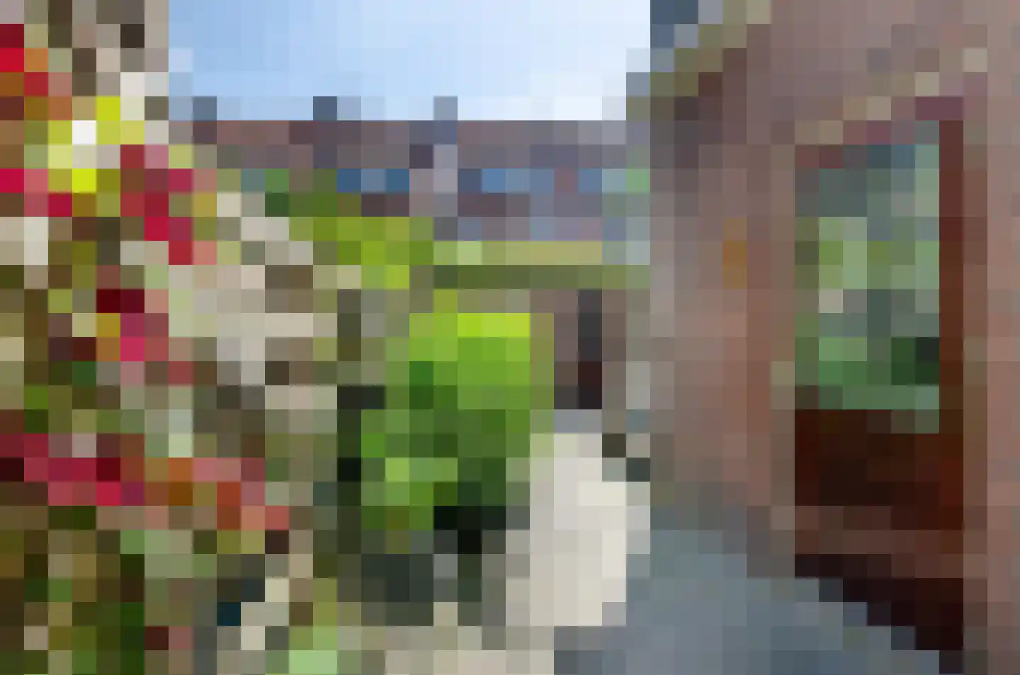 Violenstraat 49 Utrecht thumbnail 8