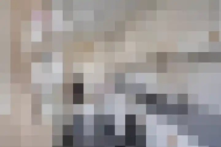 Violenstraat 5 Goes thumbnail 12