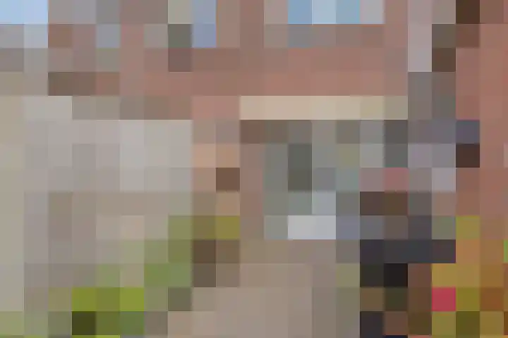 Violenstraat 5 Goes thumbnail 19