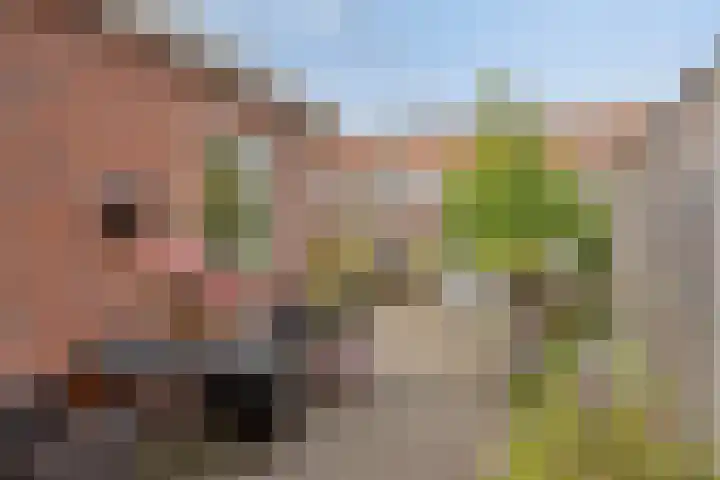 Violenstraat 5 Goes thumbnail 20