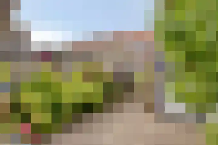 Violenstraat 5 Goes thumbnail 21