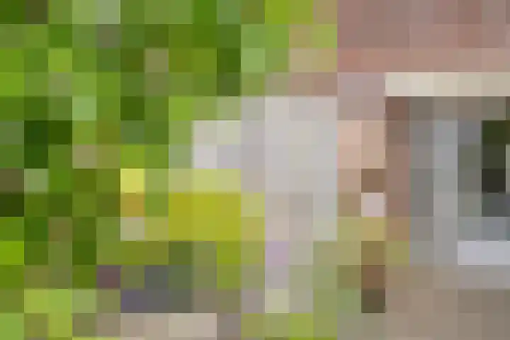 Violenstraat 5 Goes thumbnail 23