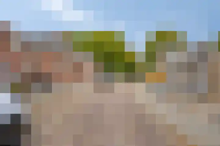 Violenstraat 5 Goes thumbnail 24