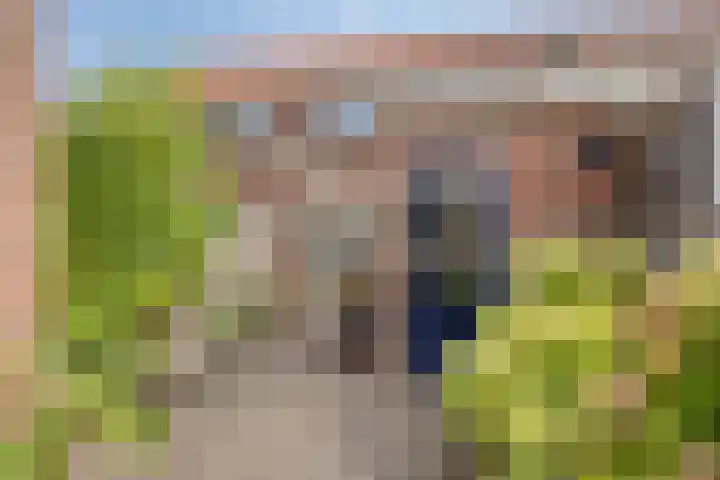 Violenstraat 5 Goes thumbnail 4