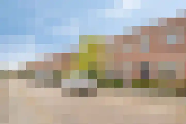 Violenstraat 5 Goes thumbnail 5