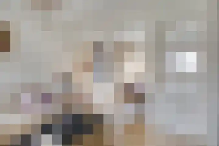 Violenstraat 5 Goes thumbnail 8