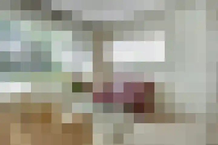Violenstraat 52 Enkhuizen thumbnail 7