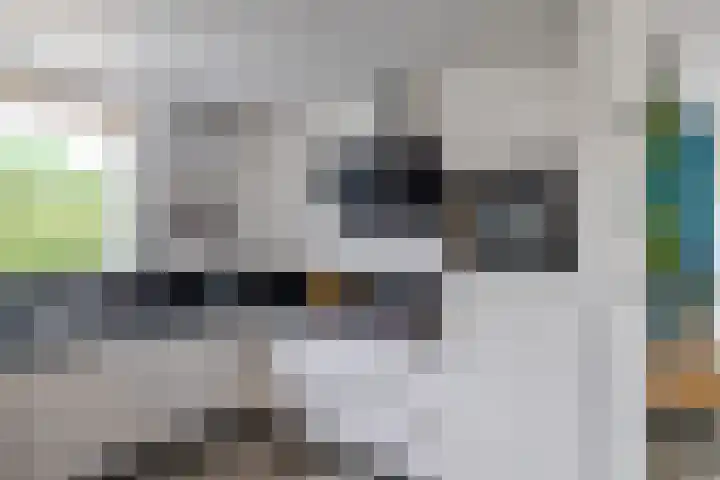 Violenstraat 64 Assen thumbnail 21