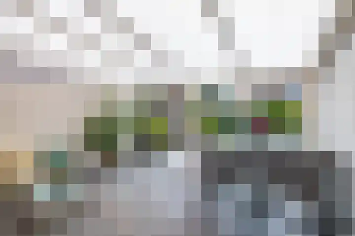Violenstraat 64 Assen thumbnail 25