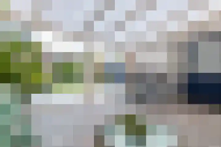 Violenstraat 64 Assen thumbnail 26