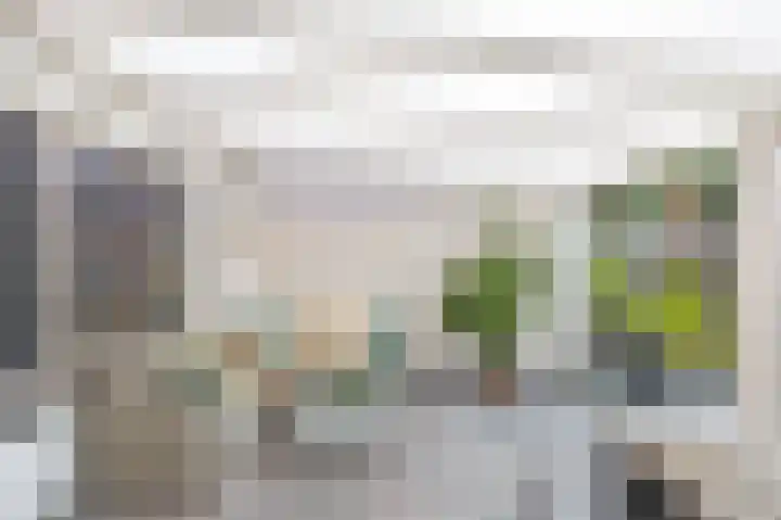 Violenstraat 64 Assen thumbnail 27