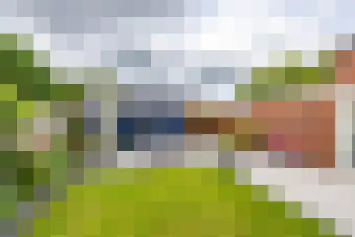Violenstraat 64 Assen thumbnail 29