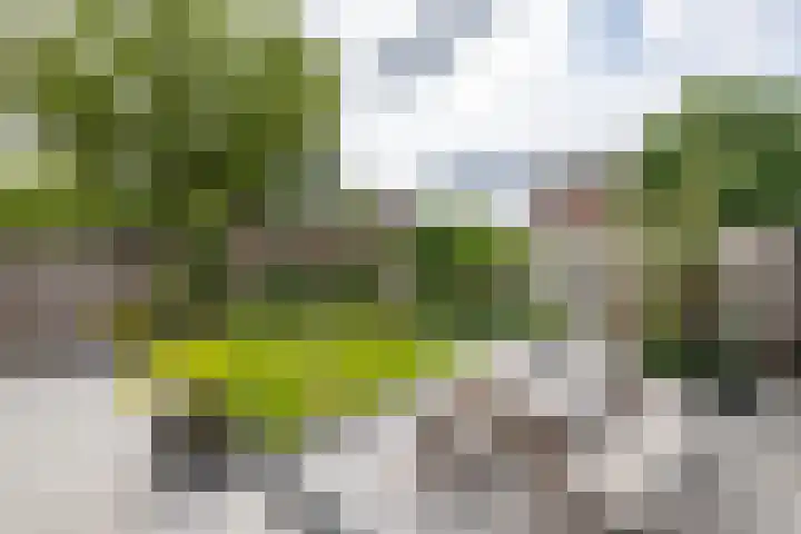 Violenstraat 64 Assen thumbnail 30