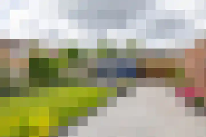 Violenstraat 64 Assen thumbnail 31